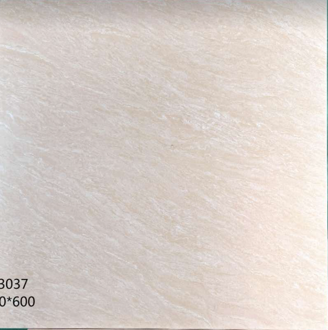 63037