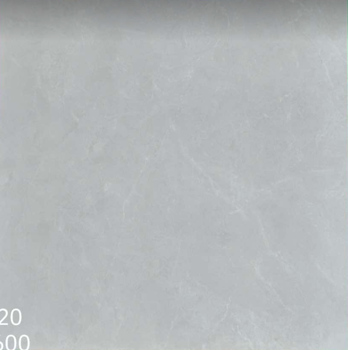6F020