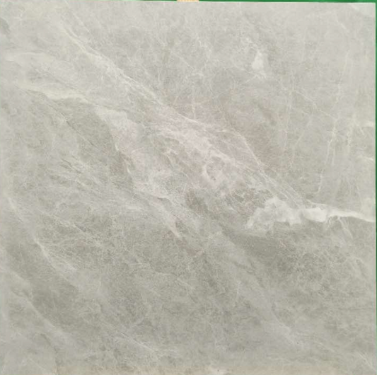 6A005